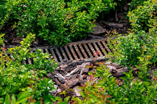 Cost of Underground Drainage Service in Morrisville
