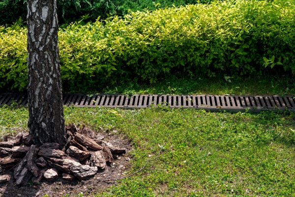 Cost of Wet Yard Drainage in Morrisville